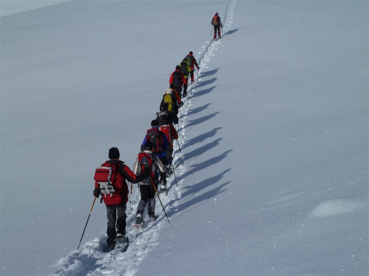 Bild zu 19-0026-01: Übungsleiter Schneeschuhwandern