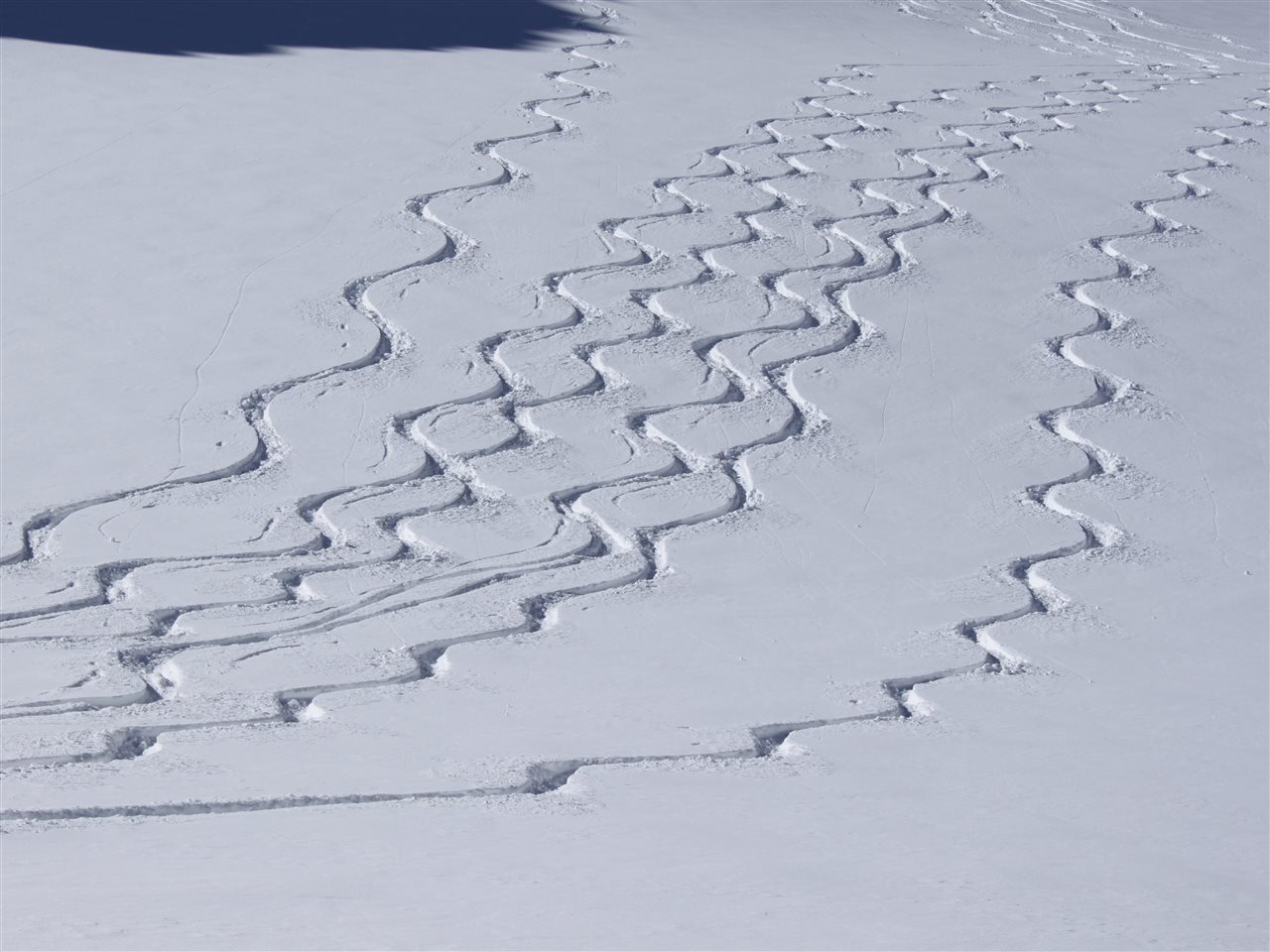 Bild zu 22-0015-04: GetReady Skitechnik Gelände