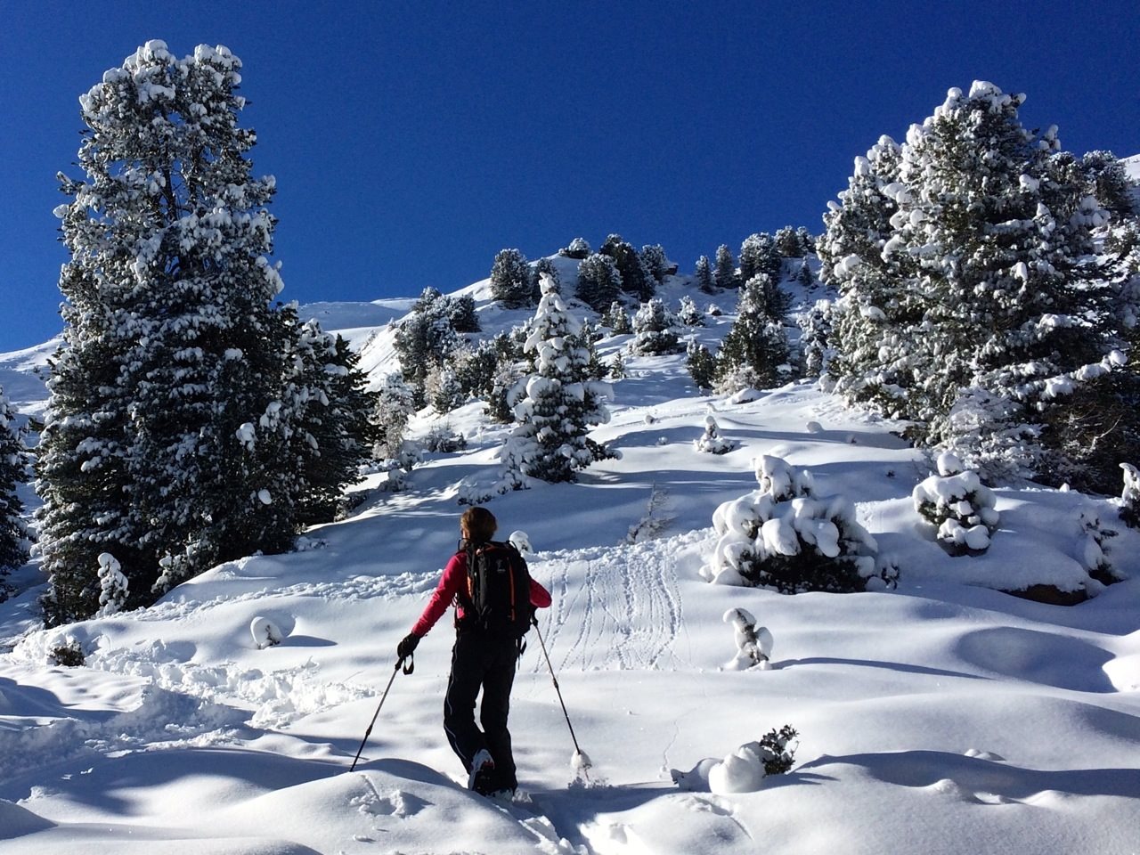 Bild zu 21-0012-02: Update Skitouren & Naturkunde