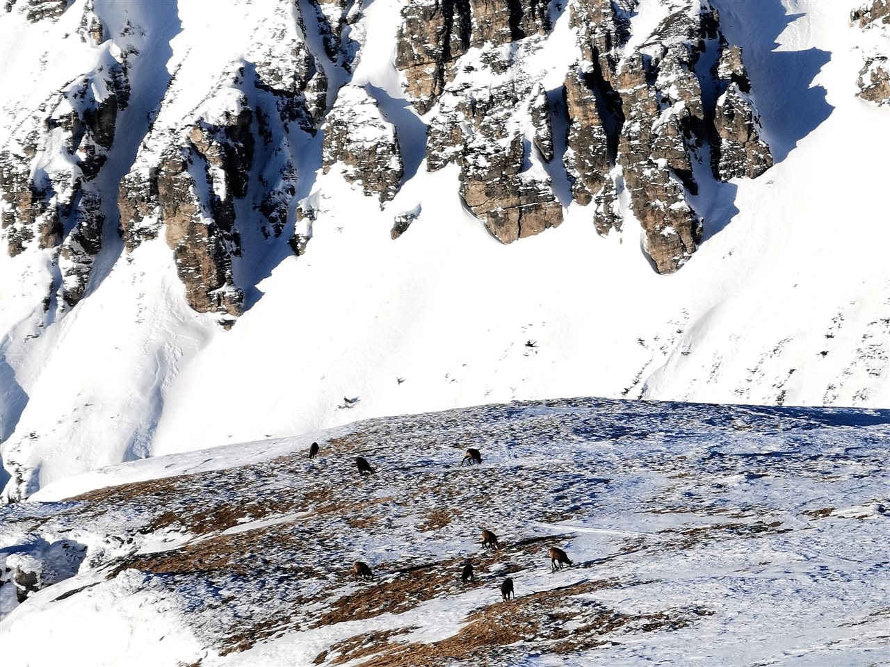 Bild zu 24-0008-01: Update Skitouren & Naturkunde