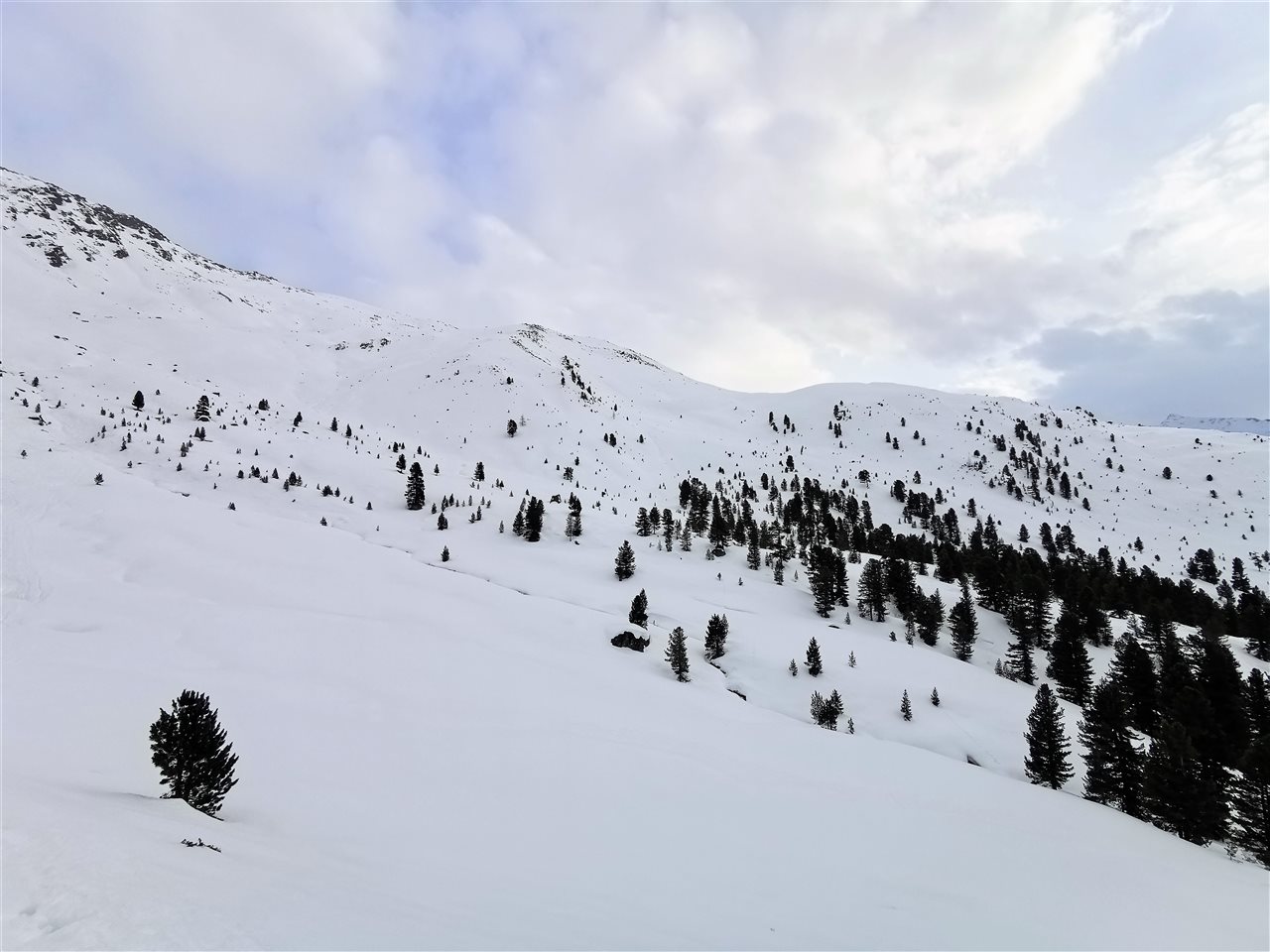 Bild zu 22-0082-02: Update Skitouren & Naturkunde